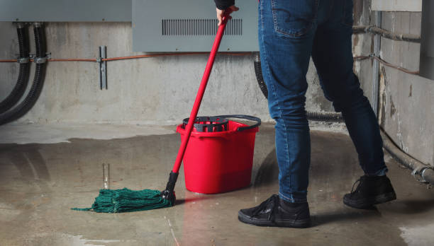 Best Flood damage cleanup  in Zeeland, MI