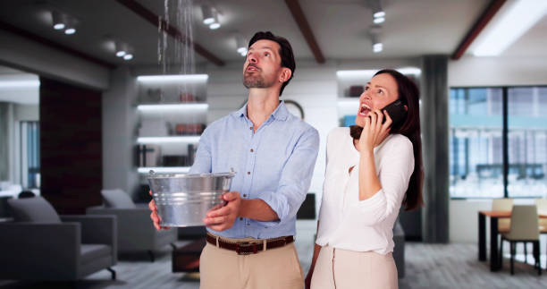 Best Water damage cleanup near me  in Zeeland, MI